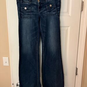 Express Blue Flare Wide Leg Jeans